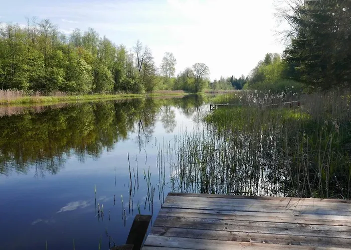 Pensionat Allika-loeoevi Sauna 4*