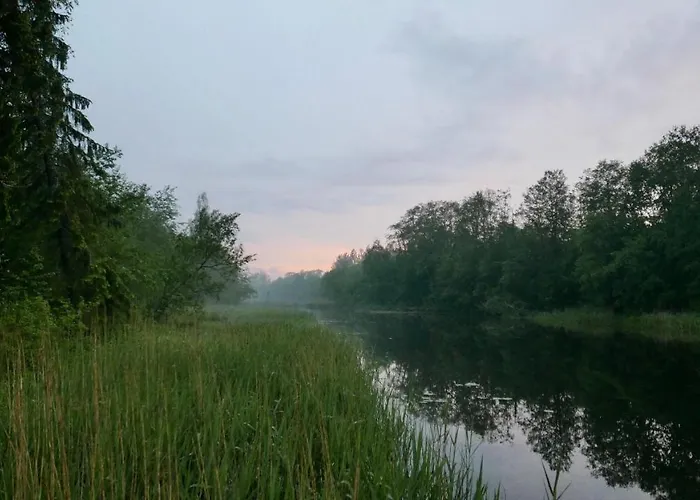 Allika-loeoevi Sauna 4* Suure-Jaani