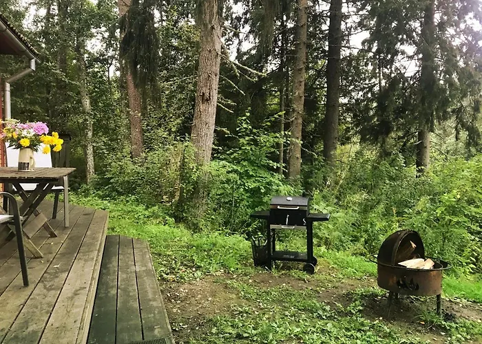 Allika-loeoevi Sauna 招待所 4*