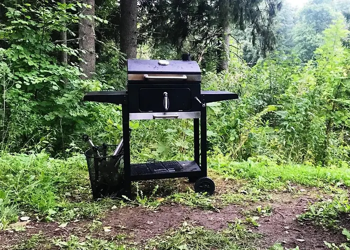 Allika-loeoevi Sauna 招待所