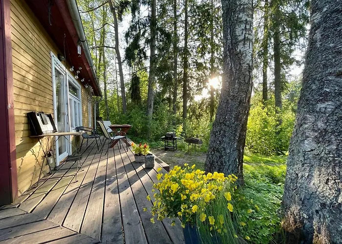 Allika-loeoevi Sauna 4* Suure-Jaani