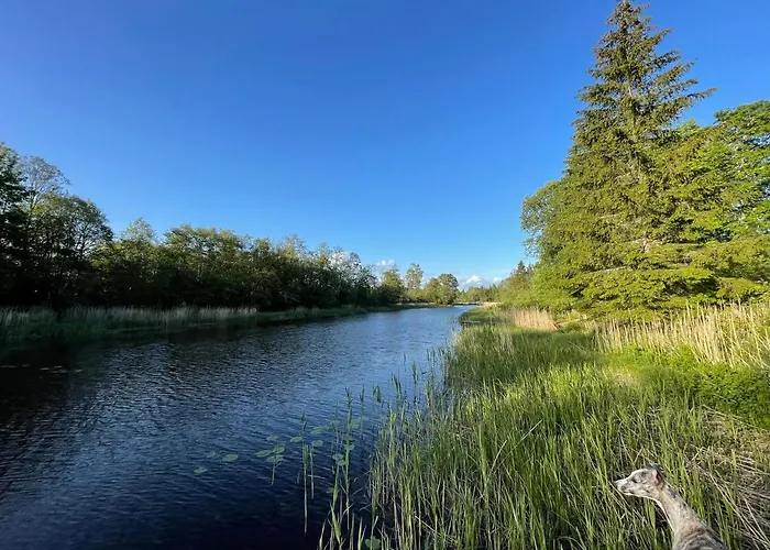 Allika-loeoevi Sauna 招待所 4*