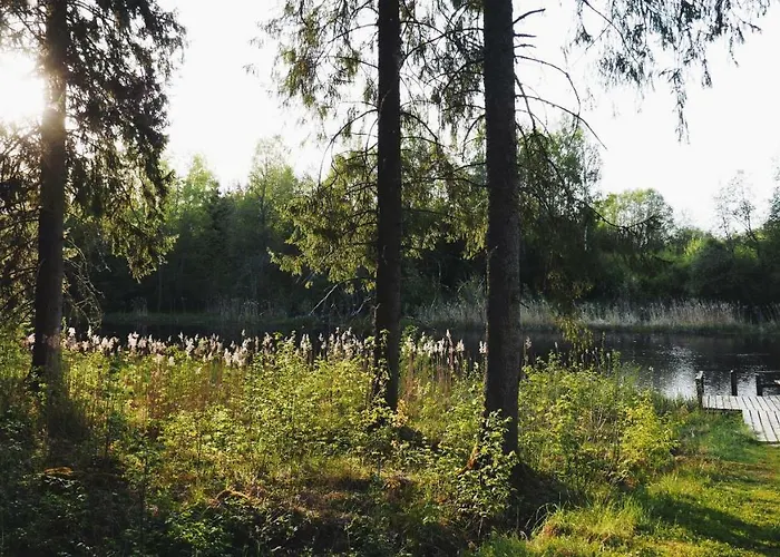 Allika-loeoevi Sauna 招待所 Suure-Jaani